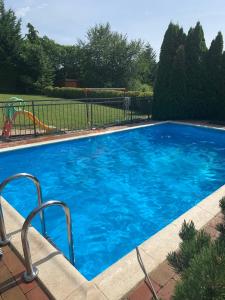 KozármislenyM&D Wellness的院子里的大型蓝色游泳池
