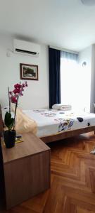 弗拉涅Vila Sentić的一间卧室配有一张床,铺有木地板