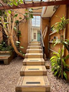 圣何塞Gaudys Hotel的庭院里种有植物的楼梯