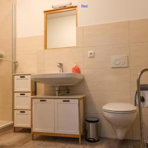 新勃兰登堡Freundliche Wohnung mit Parkplatz und Terrasse的一间带水槽、卫生间和镜子的浴室