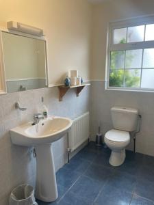 BallinamuckHillside House - Rose Cottage的一间带水槽、卫生间和镜子的浴室