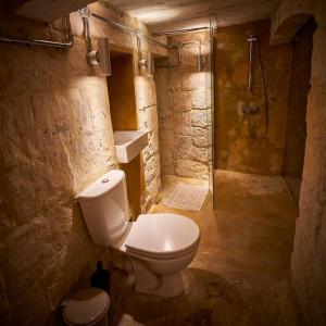 瓦莱塔House of Character in Valletta的一间带卫生间和淋浴的小浴室