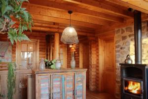 丰罗默奥代洛维亚Chalet Shaimoa的小木屋内带壁炉的客厅