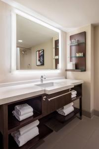 费城Delta Hotel Philadelphia Airport的一间带水槽和大镜子的浴室