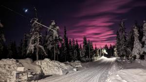MasugnsbynLapland Snow Cabin的一条晚上被雪覆盖的公路,天空紫色