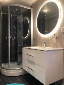 MyrlandLofoten and Vesterålen Kveldro的浴室设有水槽和带镜子的淋浴
