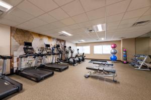 休斯顿休斯顿医疗中心/NRG公园春季山丘套房酒店的健身房设有数台跑步机和有氧运动器材