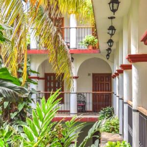 恰帕德科尔索拉塞瓦酒店的带阳台和植物的庭院