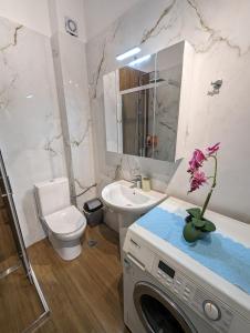 古瓦伊Kouriton apartment is an ideal place to relax的浴室配有卫生间水槽和洗衣机。