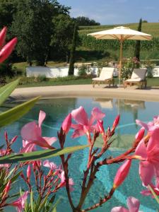 Sankt Anna am AigenBurgunderhof - Steiermark的游泳池拥有粉红色的鲜花和遮阳伞