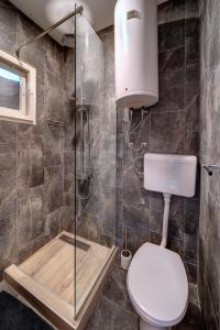 贝尔格莱德Apartment Vrabac, Kosančićev Venac的一间带卫生间和玻璃淋浴间的浴室