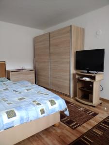 维尔奇斯拉夫科夫Dom pod Tatrami.的一间卧室配有一张床和一台平面电视