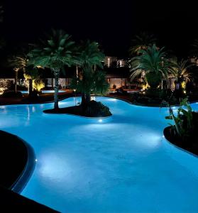 德斯坦9th floor 2BR 2 BATH King Suite Beach shuttle, heated pool!的一座拥有棕榈树的大型蓝色游泳池