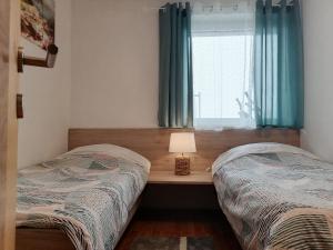 森克Apartments Zupan的一间卧室设有两张单人床和一个窗户。