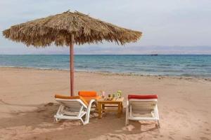 مصيف بلطيم的海滩上两把椅子和一张遮阳伞下的桌子