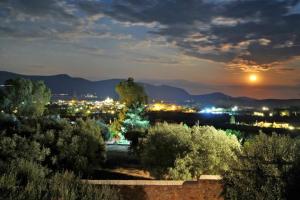加拉希德松Villa in the Olive Trees的夜晚城市与月亮的景观