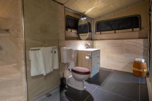 Mount MulliganMt Mulligan Lodge的一间带卫生间和淋浴的浴室