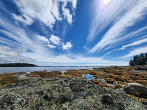 尤克卢利特Westcoast Paradise的蓝天云的岩石海岸