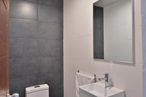 Los PradosPalmer Suites的一间带水槽、卫生间和镜子的浴室