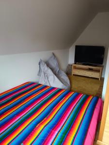 蒂萨Climb And Bike的一间卧室配有一张色彩缤纷的床和一台电视