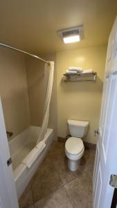 格伦多拉格伦多拉花园酒店及套房的浴室配有卫生间、浴缸和水槽。