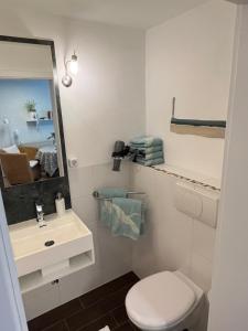 萨斯尼茨Sonnige Souterrain-Ferienwohnung的一间带卫生间、水槽和镜子的浴室