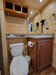 瓦莱036 Tiny Home nr Grand Canyon South Rim Sleeps 8的一间带卫生间和水槽的小浴室