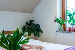 新梅斯托Vineyard Cottage Klemencic的一间卧室设有一张带植物和窗户的床。