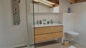 尼德恩西尔AlpinResort DerBacherhof的浴室配有卫生间、盥洗盆和淋浴。