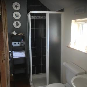 敦贝格Dromelihy House Stud的带淋浴、卫生间和盥洗盆的浴室