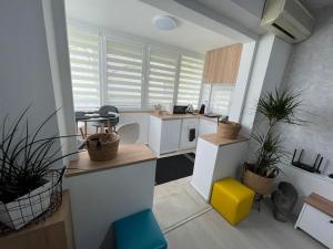 斯科普里Urban 1 - Apartment for modern nomads的一间厨房,里面装有白色的橱柜和植物