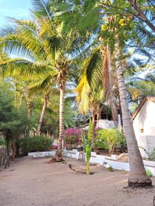AbéméKONE-METTLER GUEST HOUSE的沙滩上的棕榈树