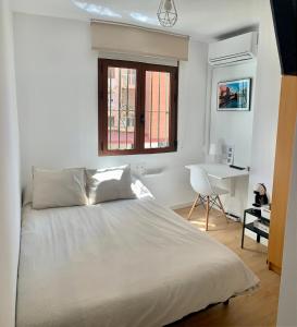马拉加Habitación González的一间卧室配有一张床、一张书桌和一个窗户。