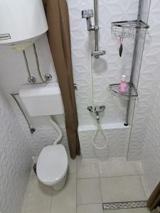 Nova PazovaDvoriste Danguba的一间带卫生间和淋浴的小浴室