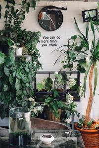 大城Your Home AYUTTHAYA ยัวร์โฮม的墙上的一堆盆栽植物,有一张桌子