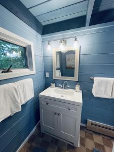 巴港Chalet with a Private Beach in Acadia National Park的蓝色的浴室设有水槽和镜子