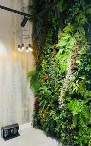 布达佩斯贝斯里卡中心酒店的绿色的墙壁上,有植物和灯