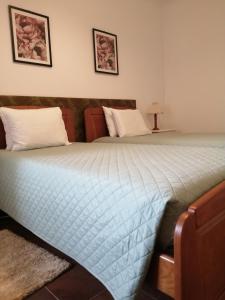 格兰杜拉Casa Vaz 2的一张带蓝色棉被和两个枕头的床