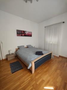 Collina d'OroCasa le palme -Montagnola的一间卧室配有一张床,铺有木地板