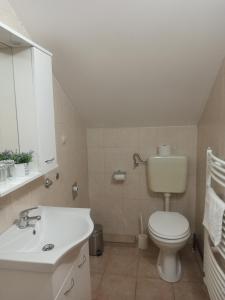 塞里特雷尼科兹拉特科乡村民宿的浴室配有白色卫生间和盥洗盆。