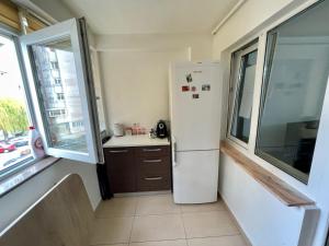 皮特什蒂Garsoniera moderna parcare internet的厨房配有冰箱、水槽和窗户。