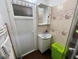 皮特什蒂Garsoniera moderna parcare internet的一间带水槽和镜子的小浴室