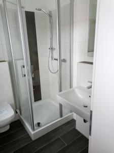 丁克拉格Altes Gesellenhaus的带淋浴、卫生间和盥洗盆的浴室