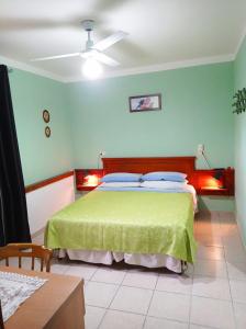 帕利努罗Casa Vacanze Mimose的一间卧室设有一张带绿色墙壁和天花板的床。
