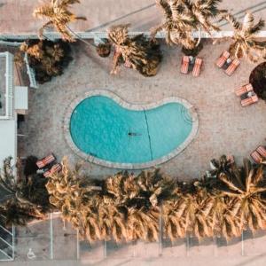 劳德代尔堡The Pillars Hotel & Club的享有游泳池和棕榈树的上方景色