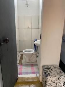 戈亚斯州上帕莱索hostel Lobeira的一间带卫生间和水槽的浴室