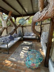 萨包迪亚Casa vacanza的一个带沙发和桌子的门廊和一棵树