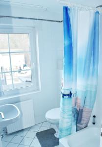 宾茨格兰之酒店的浴室配有蓝色的浴帘和卫生间