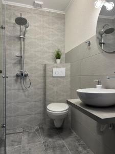 米奥修德萨斯Piscul Muntelui的浴室配有卫生间、盥洗盆和淋浴。