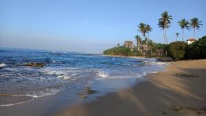 米瑞莎Asanka Beach Stay的棕榈树和海洋的沙滩